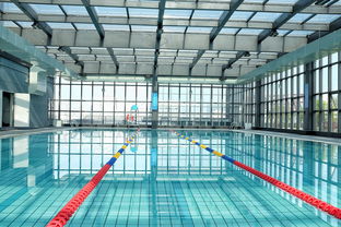 mk体育在线-世界游泳锦标赛中国运动员连续夺牌，世界游泳锦标赛中国运动员连续夺牌几次