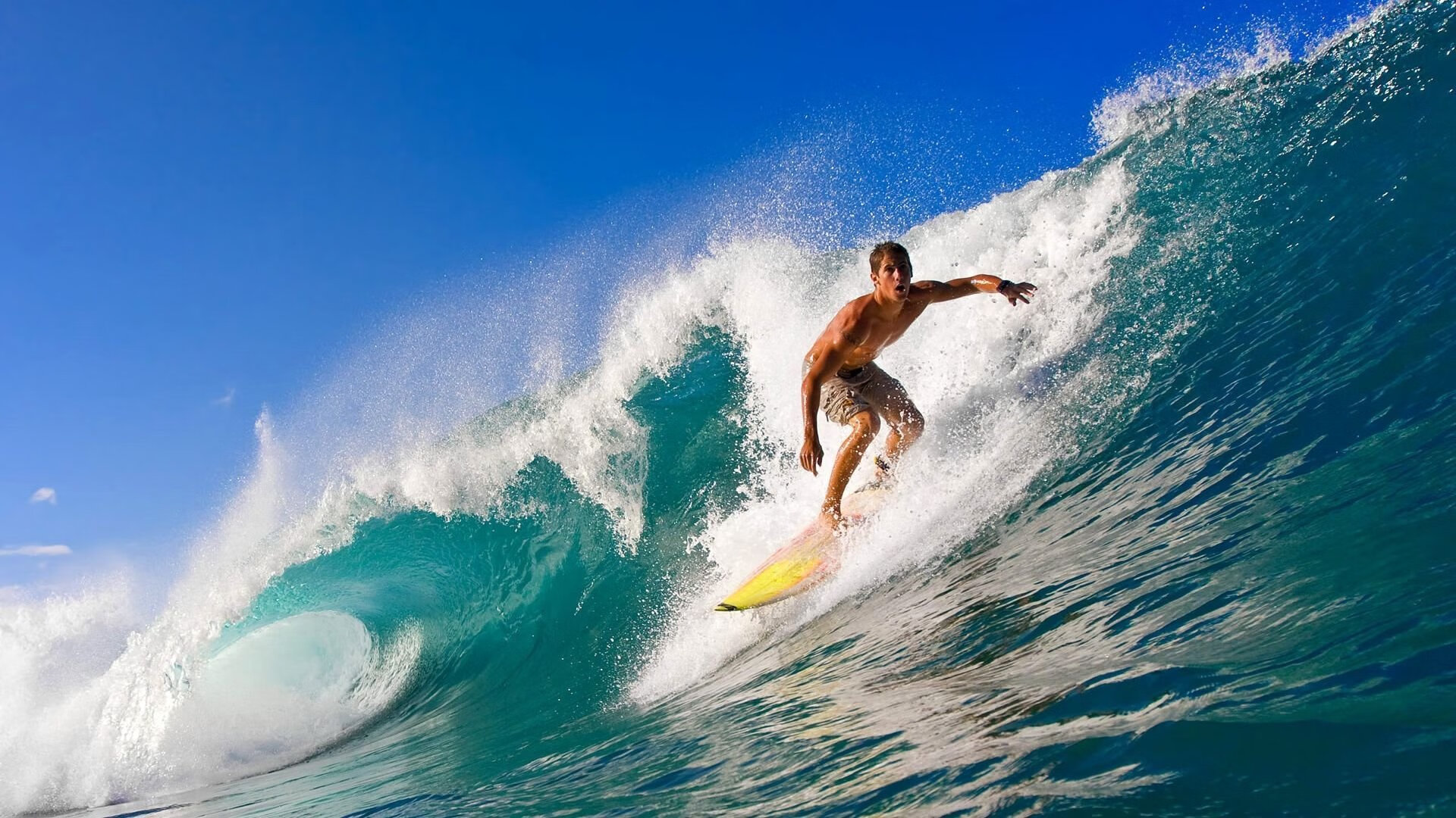 体育明星商业价值提升